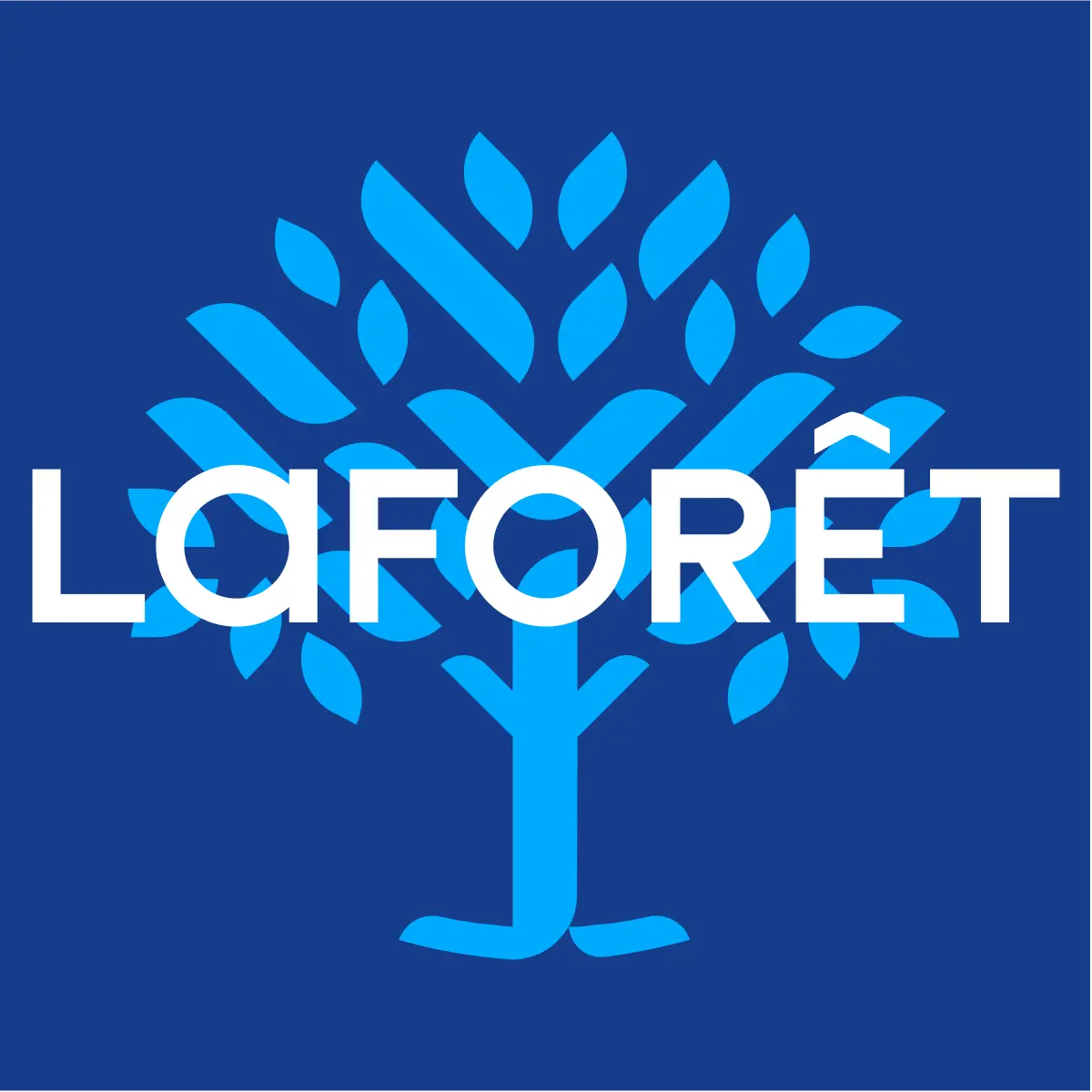 GOODIES LAFORET AGENCE IMMOBILIERE