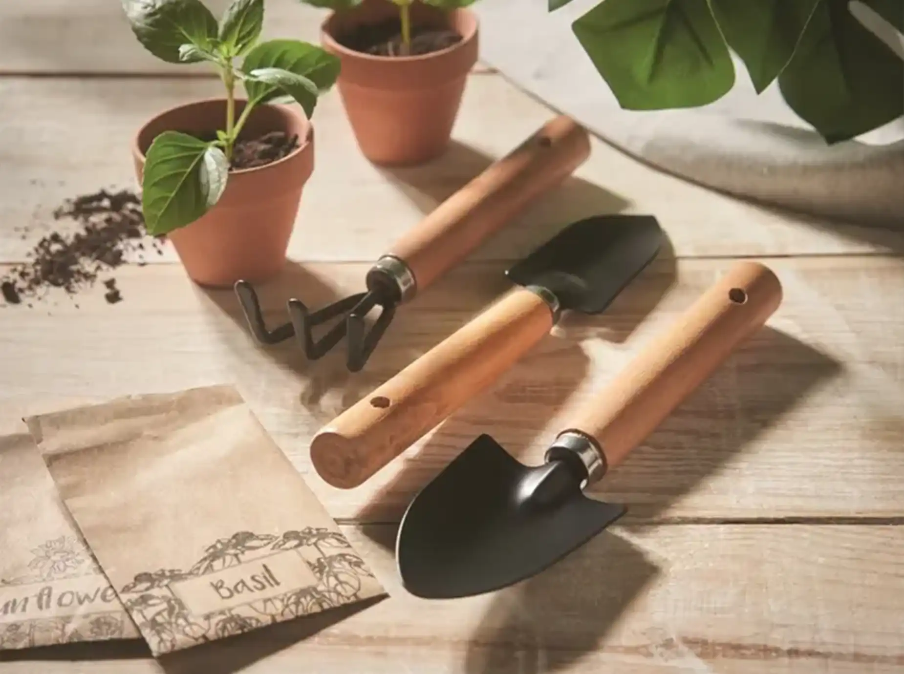 Graines et plantes en supports publicitaires